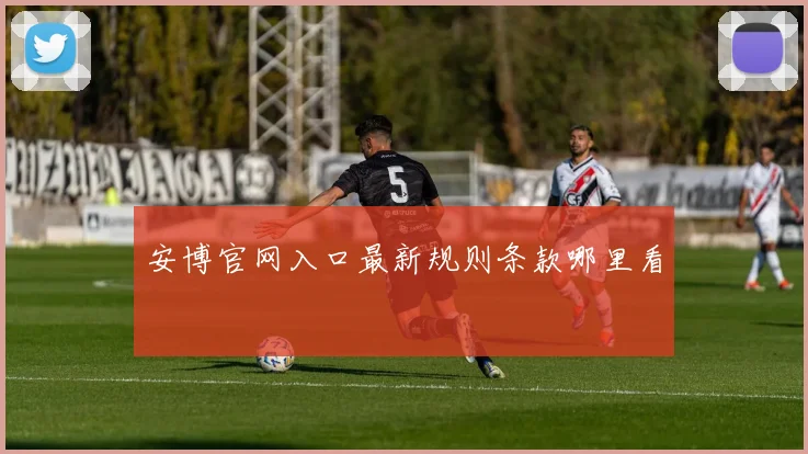安博官网入口最新规则条款哪里看